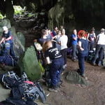 Kenong Rimba Park Eco Tour