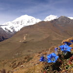 Jomolhari, Chomolhari Kang (7 121 m / 23 363 ft)