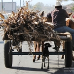 Climbing 2 high mountains  Iztaccihuatl and Pico de Orizaba