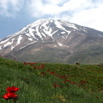 Damavand (5 671 m / 18 606 ft)