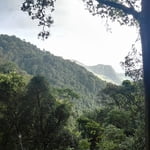 view from La montañona MOuntain, virgin forest with lot of wildlife....