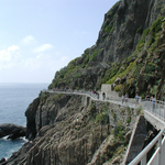 Cinque Terre Trek