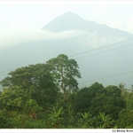 Cameroon Mountains