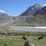 shimshal Valley 