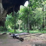 Kenong Rimba Park Eco Tour