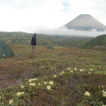 Trekking the Volcanoes of the Central Kamchatka