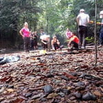 Kenong Rimba Park Eco Tour