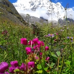Annapurna Base Camp Trek 