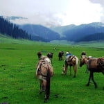 Jeep Safari & Trek HINDUKUSH  Chitral Kalash Valley Pakistan 
