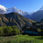 Annapurna Panorama Trek (3 210 m / 10 532 ft)