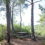 Sweet Hiking in a Calm Forest