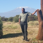 Mount Kilimanjaro view from Amboseli Sopa Lodge in Kenya