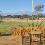 Kilimanjaro(Kibo & Mawenzi Peaks)