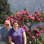 Ghorepani Poon Hill Trek