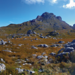 Hottentots Holland Mountains
