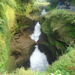 Davis Fall