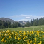 Five Summits of Vranica, Balkan Peninsula Mountains