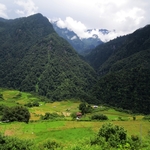 The Jigme Dorji National Park (JDNP), named after the late Jigme Dorji Wangchuck, is the second-largest National Park of Bhutan.