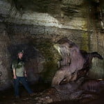 Kenong Rimba Park Eco Tour