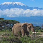 Kilimanjaro 5891m, ascensión por la ruta Machame