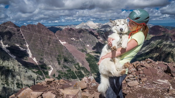 This Siberian Husky Summited All 58 of Colorado's 14ers