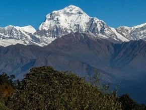 Image of Annapurna Panorama Trekking