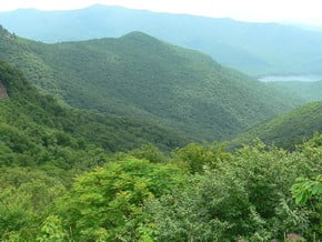 Image of Central Appalachians