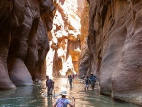 Image of Zion Narrows