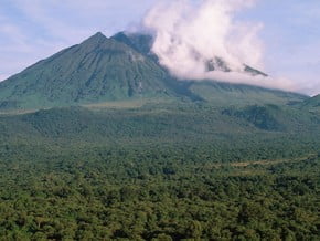 Image of Virunga Mountains