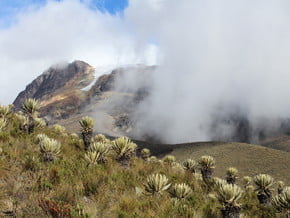 Image of Nevado del Tolima (5 200 m / 17 060 ft)