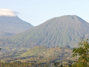 Image of Rwanda Volcanoes Trek