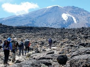Image of Lemosho, Kilimanjaro (5 895 m / 19 341 ft)