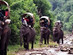 Image of Old Elephant Trail Trek