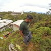 Redaro Andaal