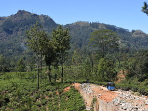 Image of Pidurutalagala (2 524 m / 8 281 ft)