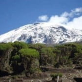 Mt. Kilimanjaro Adventures