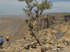 Image of Oman Adventure Trekking