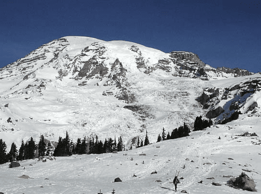 Mount Rainier's Northern Loop Trail