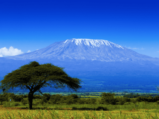Climb Kilimanjaro accompanied with Everest Guide 