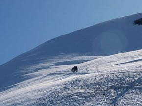 Image of North-West Face, Allalinhorn (4 027 m / 13 212 ft)