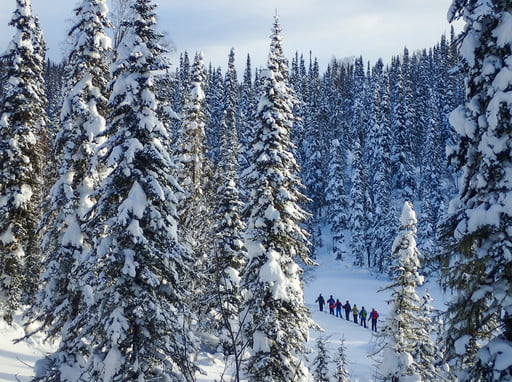 Freeride and ski-tour in Siberia (Russia) 