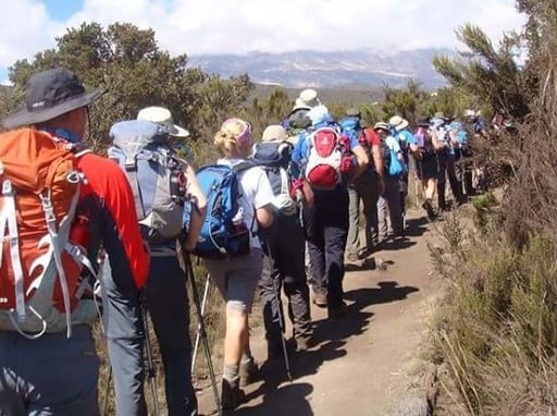 8 Days kilimanjaro climb via machame route